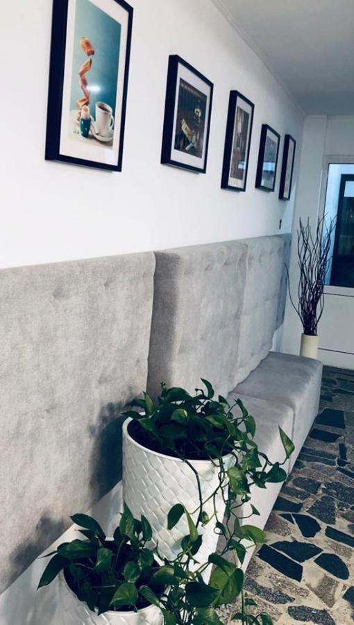 Siechnice Noclegi Extérieur photo